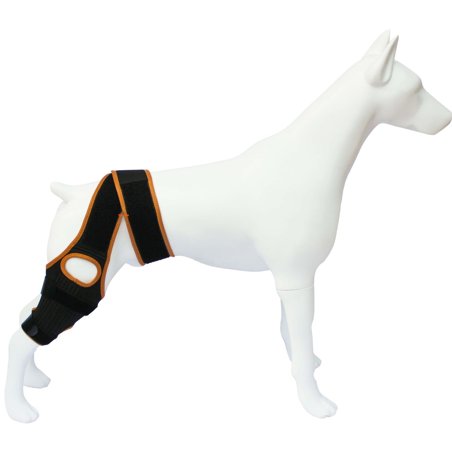 Dog Hind Leg Knee Brace Assist Strap