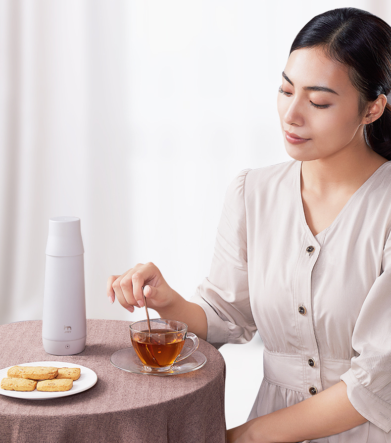 Portable kettle