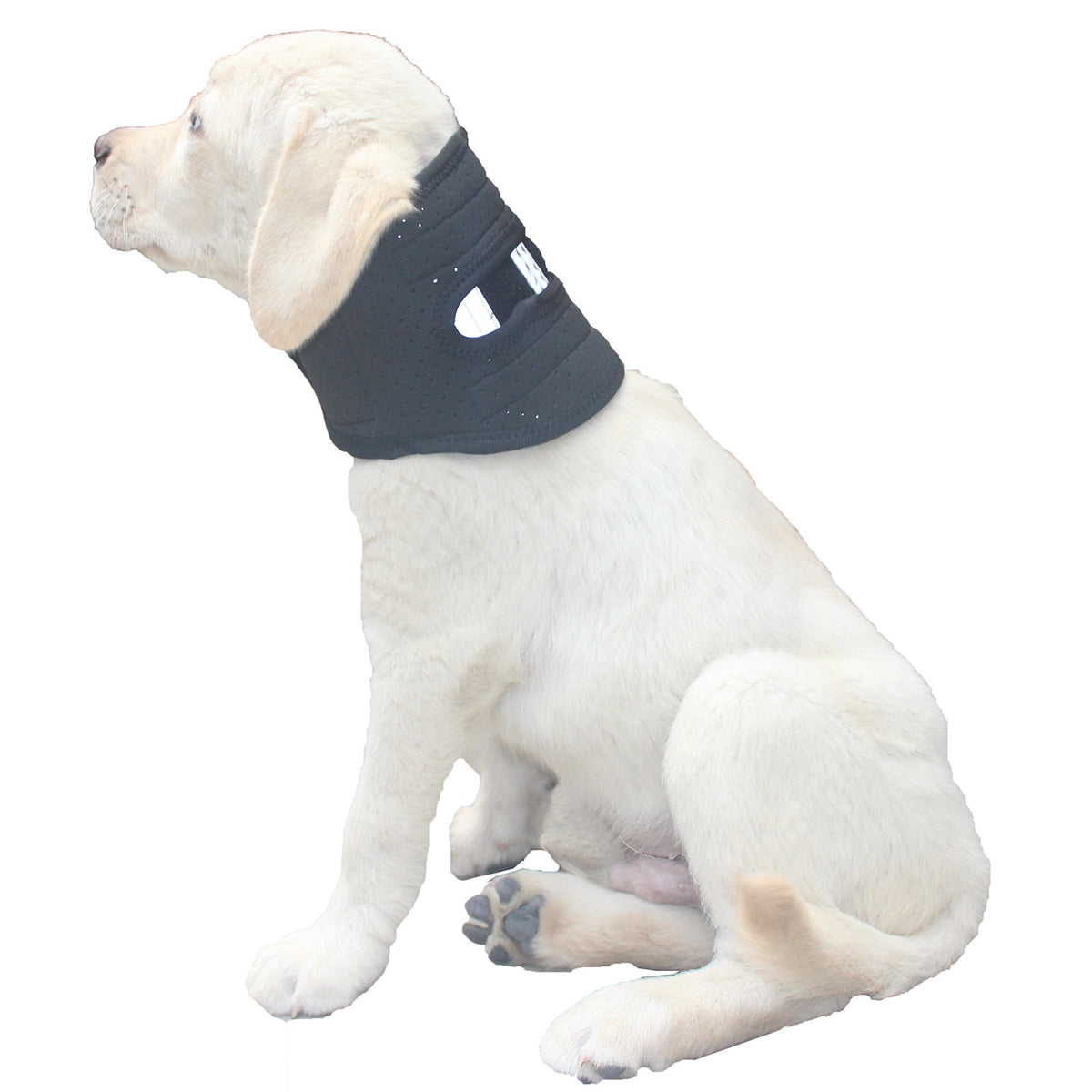 Dog Neck Brace Supports Cervical Vertebral Sprains Instability, Neck Brace For Dog Cervical Collar,Helps Puppy Recover