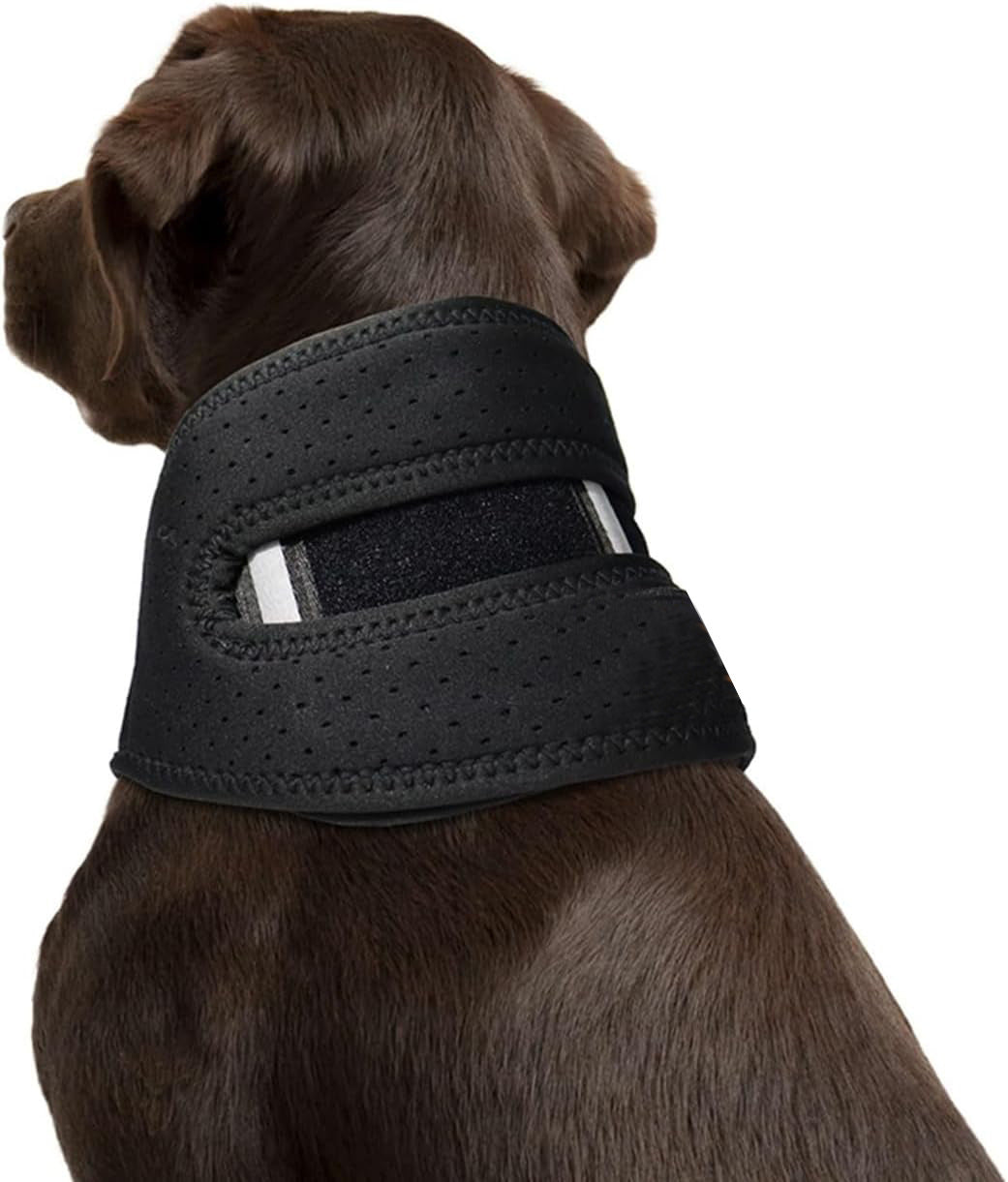 Dog Neck Brace Supports Cervical Vertebral Sprains Instability, Neck Brace For Dog Cervical Collar,Helps Puppy Recover