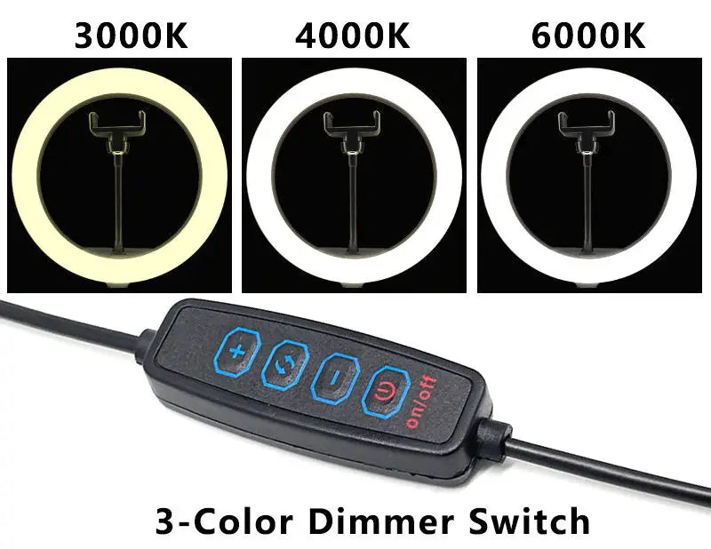0.5-5 मीटर यूएसबी 5V एलईडी डुअल कलर स्ट्रिप लाइट किट, 120 एलईडी/मीटर, 3000K, 4000K, 6000K सीसीटी फ्लेक्सिबल टेप बार लैंप, 4-की 2 मीटर डिमर कंट्रोलर के साथ।